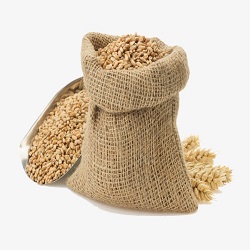Whole-Wheat Durum Flour or Atta Flour