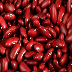 Rajma (red kidney beans)
