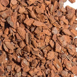 Cinnamon bark 