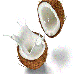 Coconut milk